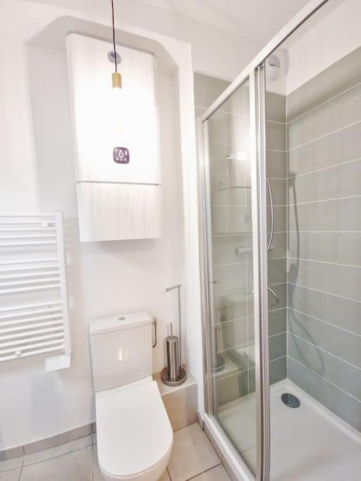 Studio Calme Et Lumineux - Ascenceur - Gare -Metro Apartment Toulouse Ngoại thất bức ảnh